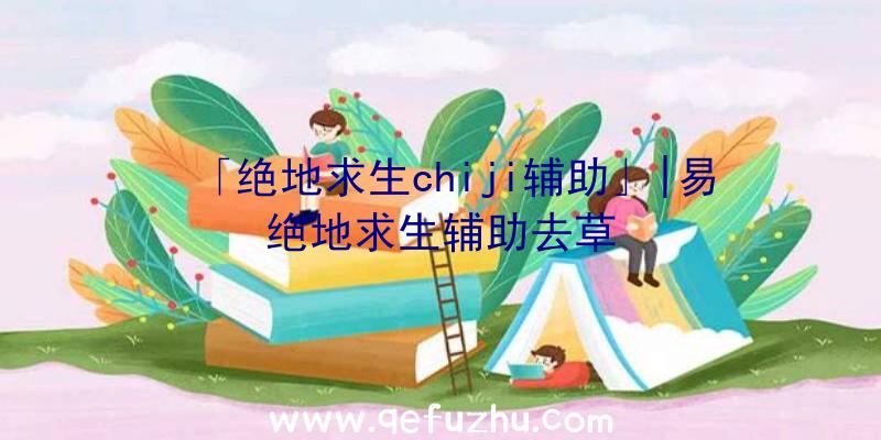 「绝地求生chiji辅助」|易绝地求生辅助去草